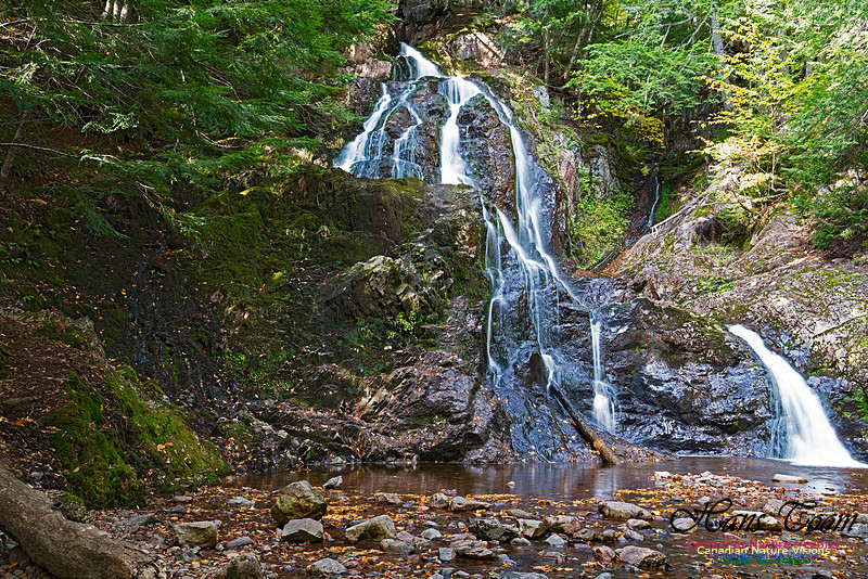 Wentworth Falls 101
