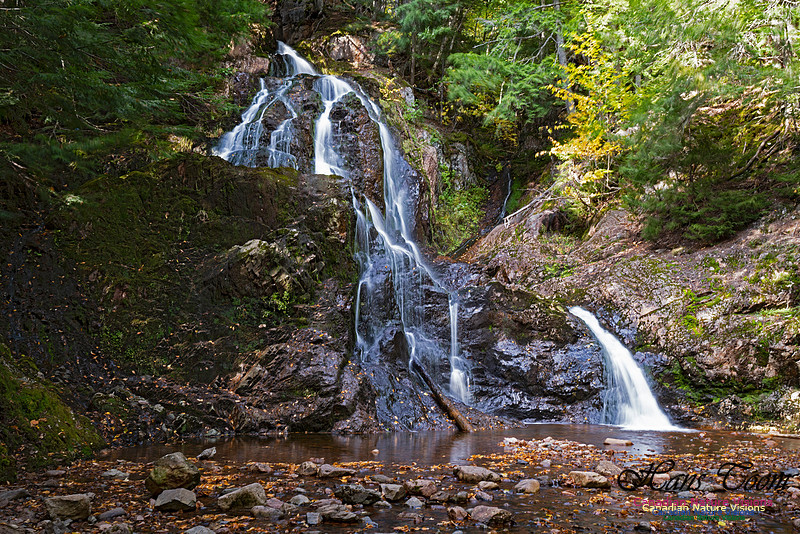 Wentworth Falls 102