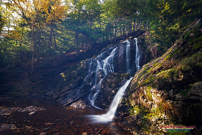 Wentworth Falls 105