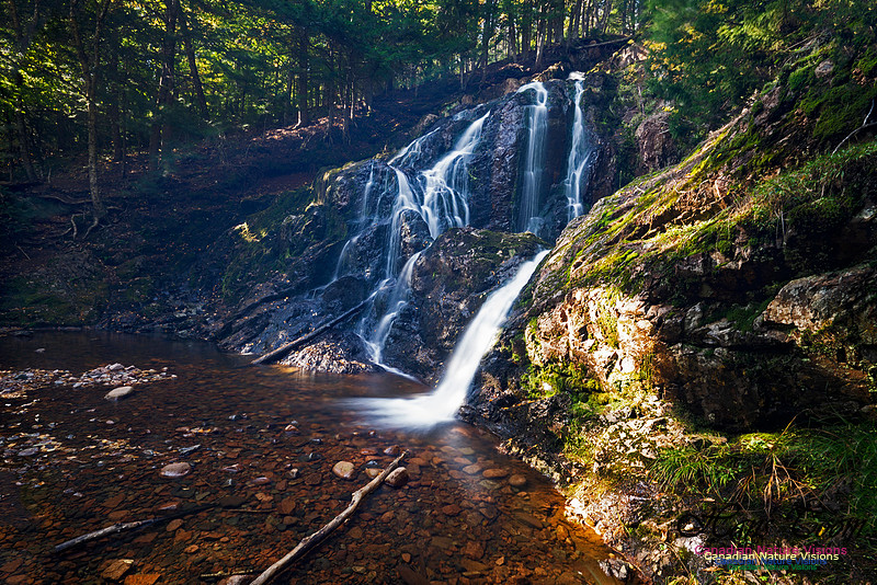 Wentworth Falls 106