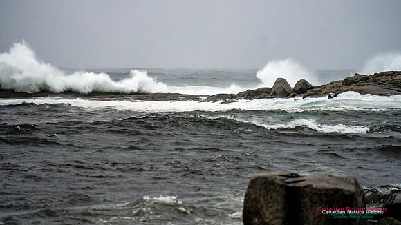 Nova Scotia Gale 2024-09-07 165