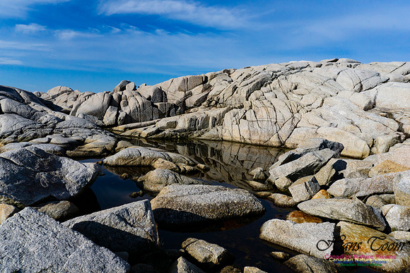 Another Morning Stroll on the Coastal Barrens 101