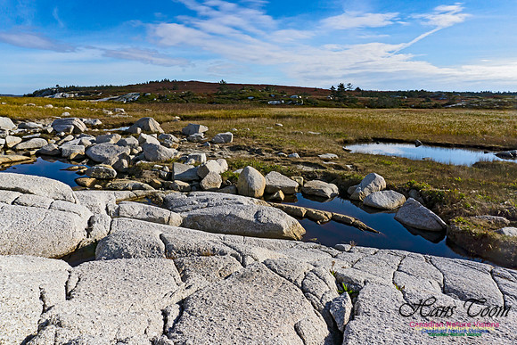 Another Morning Stroll on the Coastal Barrens 108