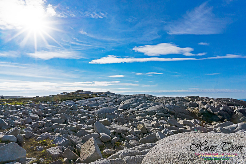 Another Morning Stroll on the Coastal Barrens 112
