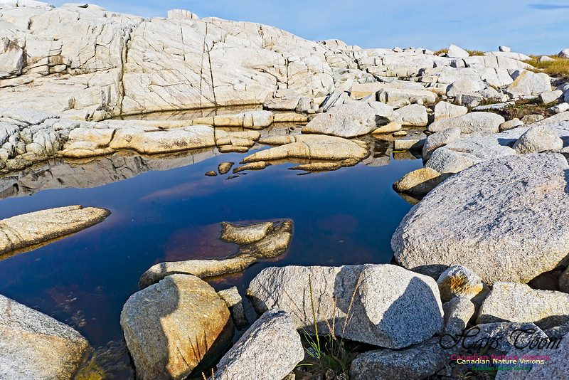 Another Morning Stroll on the Coastal Barrens 103