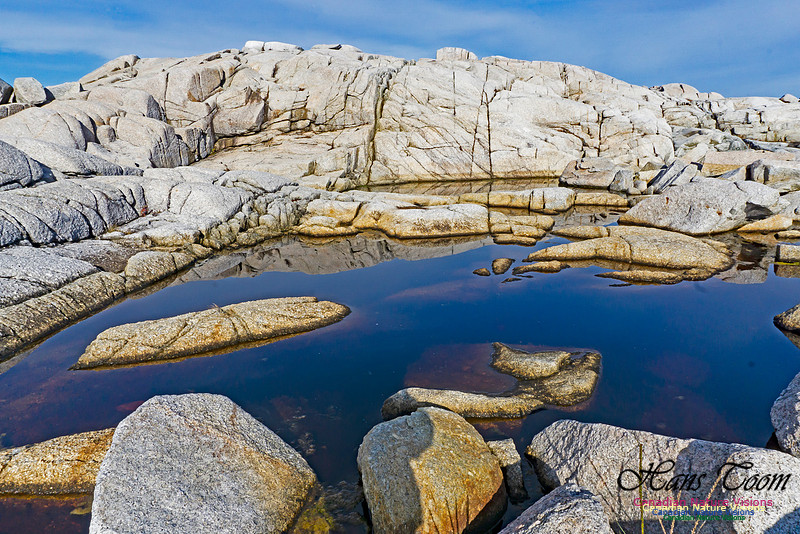 Another Morning Stroll on the Coastal Barrens 104