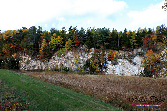 FallColours2016-1006