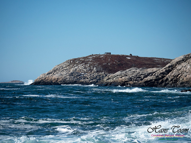 Eastern Head 1