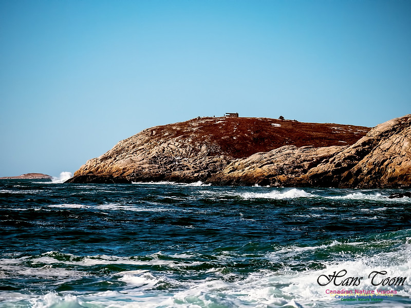Eastern Head 2