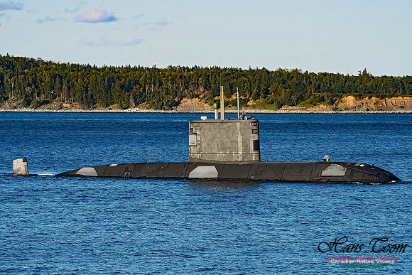 HMCS Windsor 100
