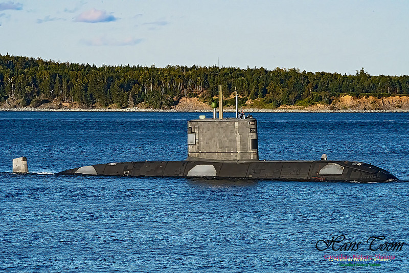 HMCS Windsor 100