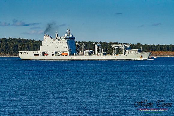 MV Asterix 101