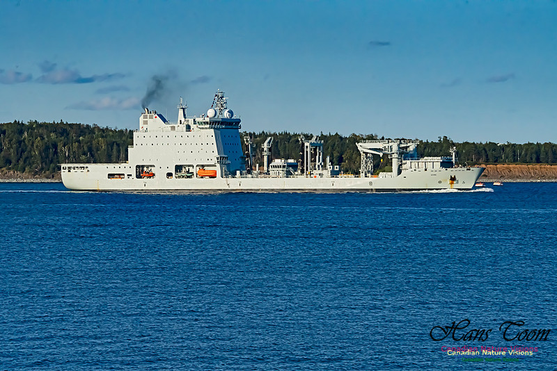MV Asterix 101