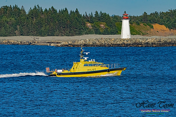 Pilot off McNabs Island Light 100
