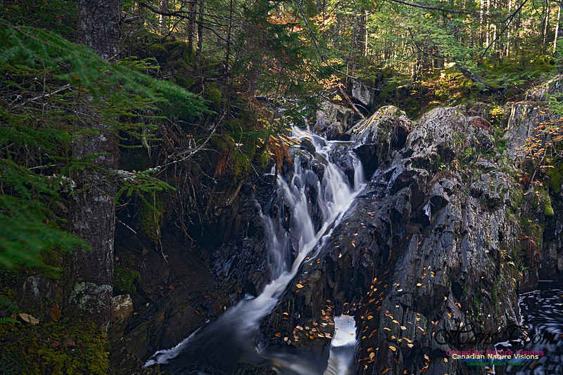 Nuttall Brook Falls 109