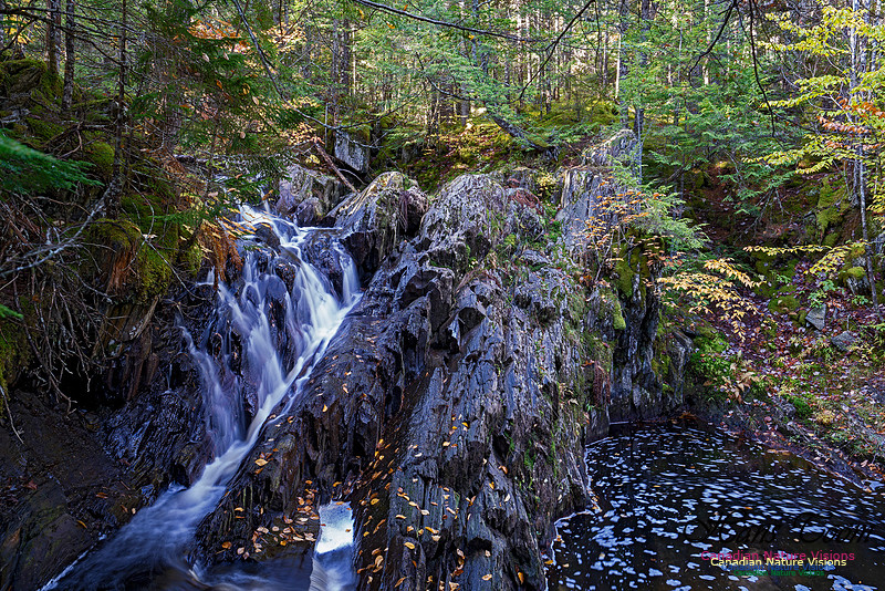Nuttall Brook Falls 110