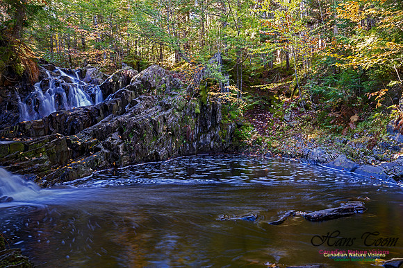 Nuttall Brook Falls 100