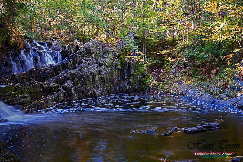 Nuttall Brook Falls 100