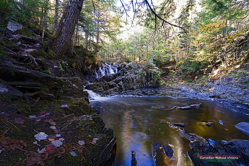 Nuttall Brook Falls 102