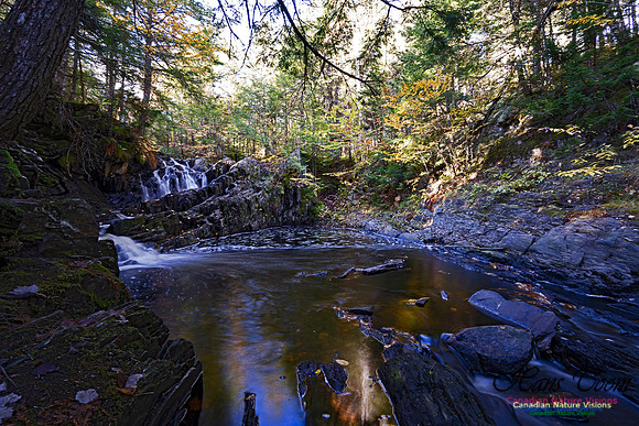 Nuttall Brook Falls 103
