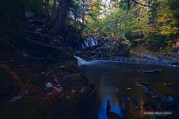 Nuttall Brook Falls 106