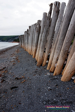 Breakwater 100