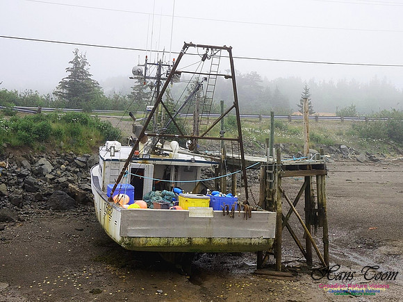 Dragger at Low Tide 101