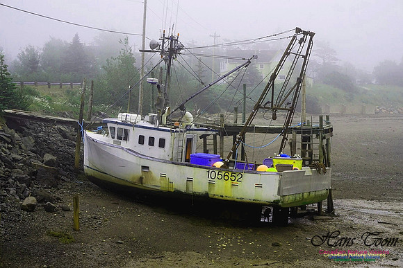 Dragger at Low Tide 100
