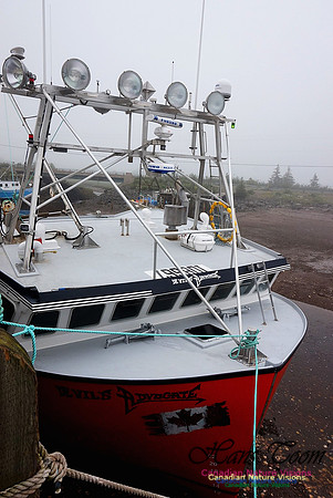 Lobster Boat 100