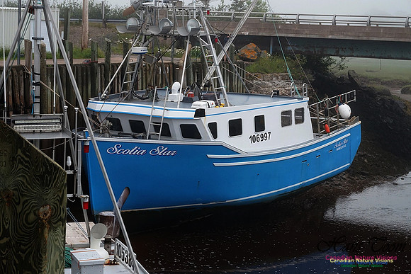 Lobster Boat 101