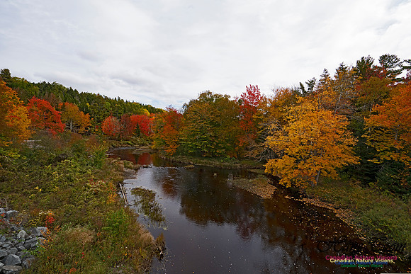 Fall Colours and Reflections 102