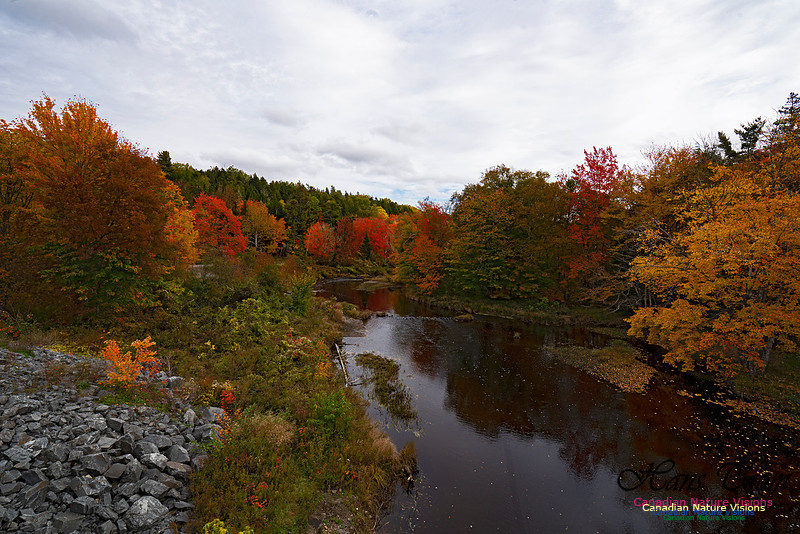 Fall Colours and Reflections 101