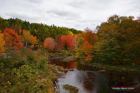 Fall Colours and Reflections 100