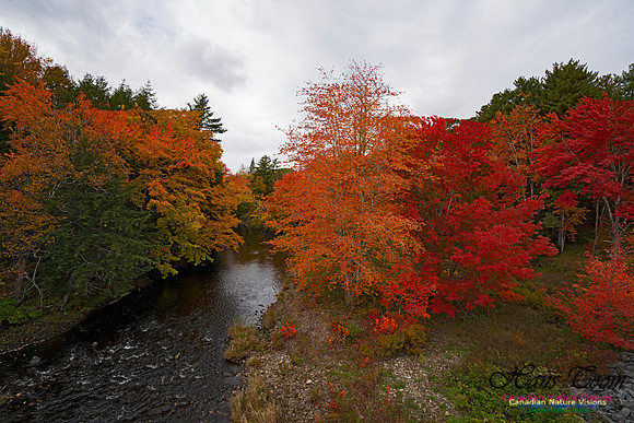 Fall Colours and Reflections 103