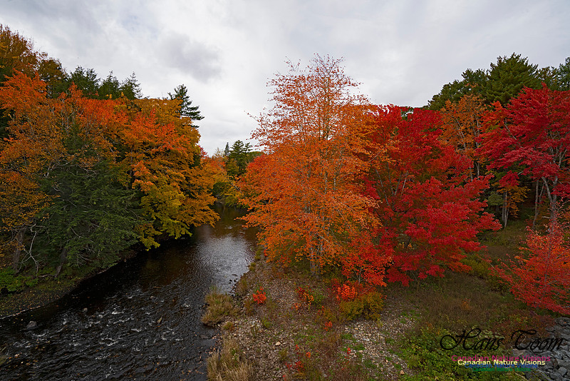 Fall Colours and Reflections 103