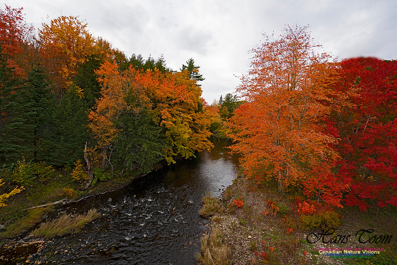 Fall Colours and Reflections 104