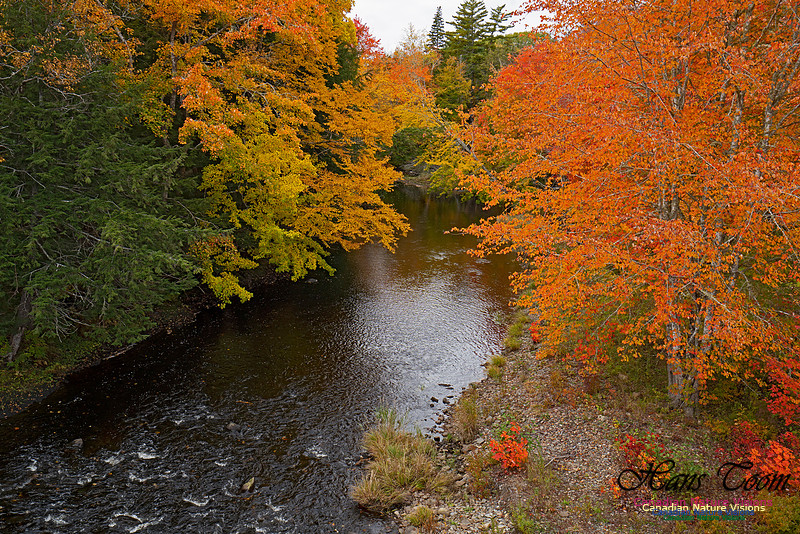 Fall Colours and Reflections 105