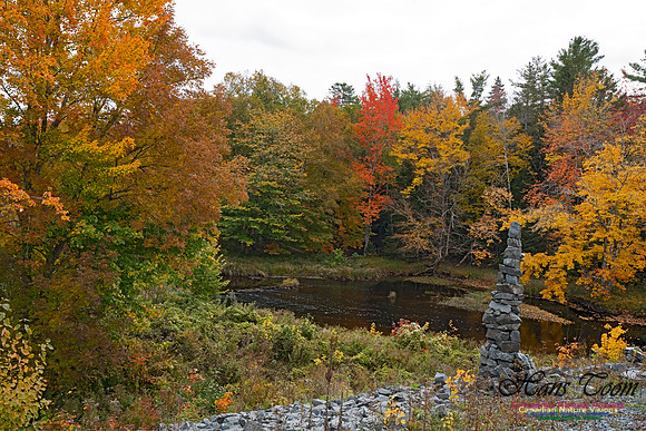Fall Colours and Reflections 113
