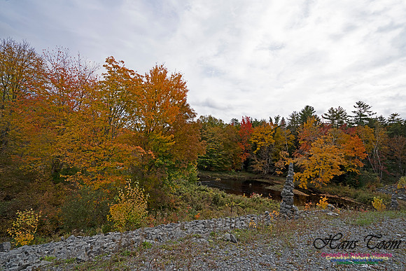 Fall Colours and Reflections 111