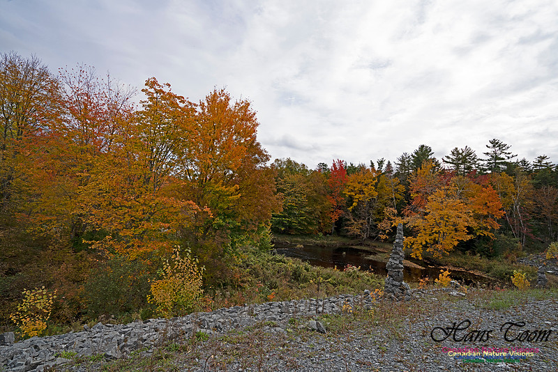 Fall Colours and Reflections 111