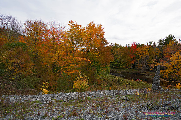 Fall Colours and Reflections 112