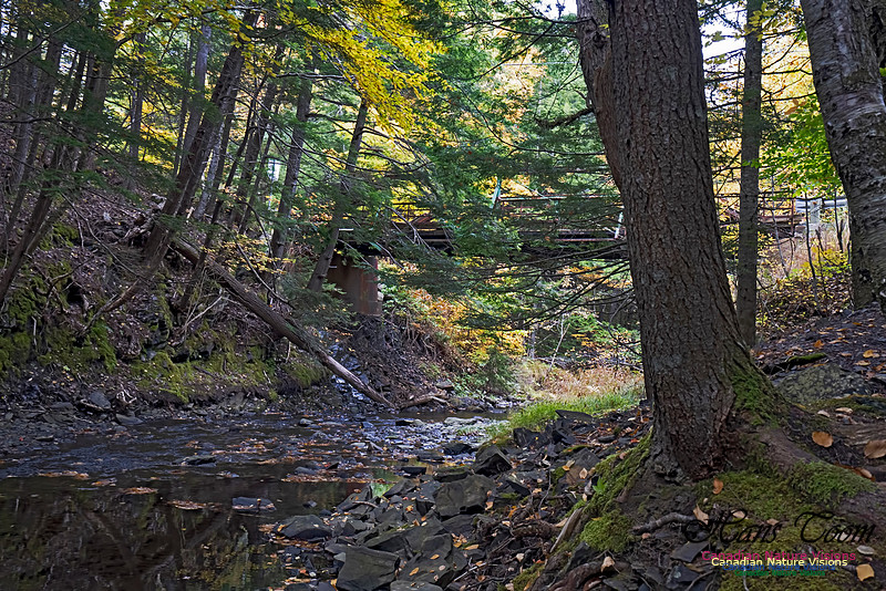 Fall Colours and Reflections 117
