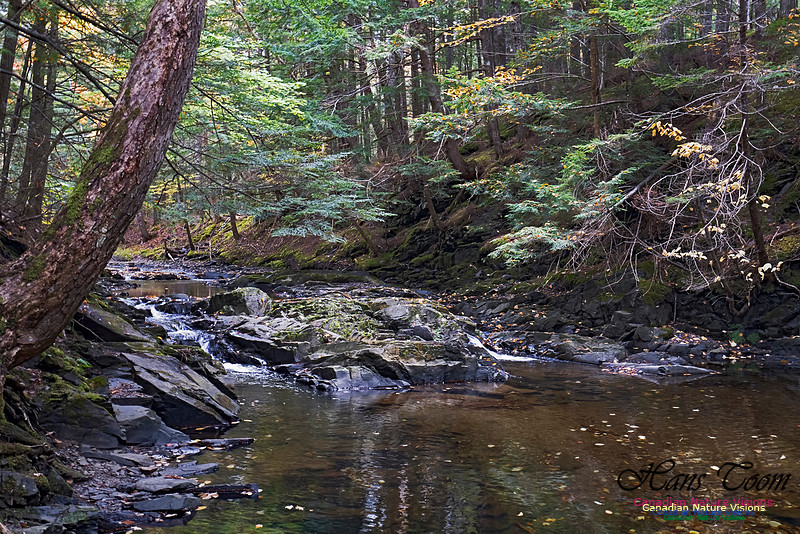 Fall Colours and Reflections 119