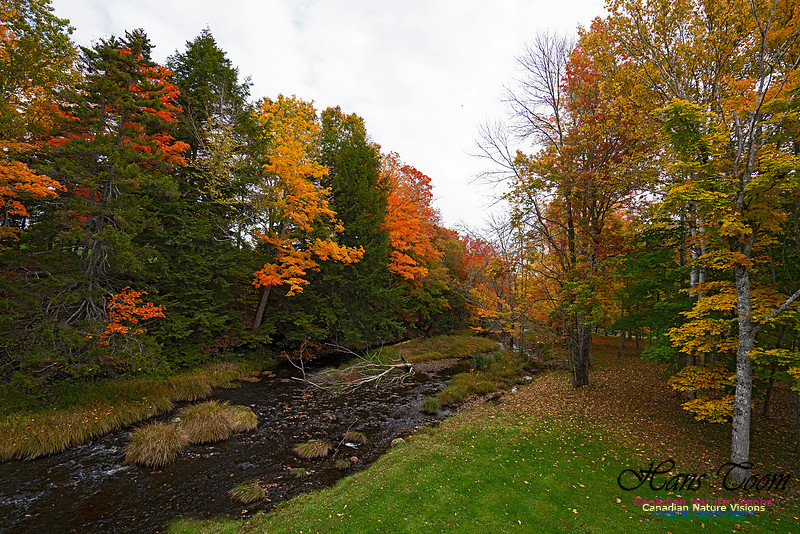 Fall Colours and Reflections 115