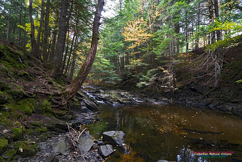 Fall Colours and Reflections 120