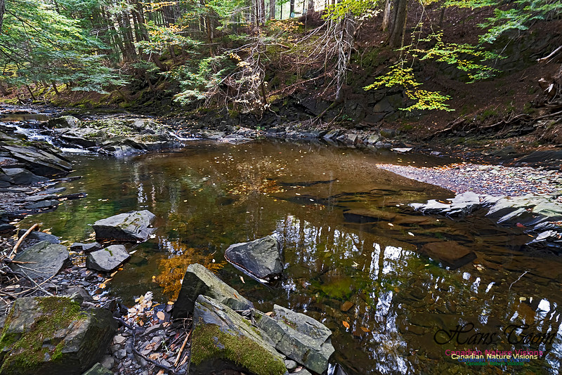 Fall Colours and Reflections 121