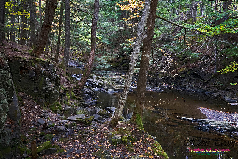 Fall Colours and Reflections 123