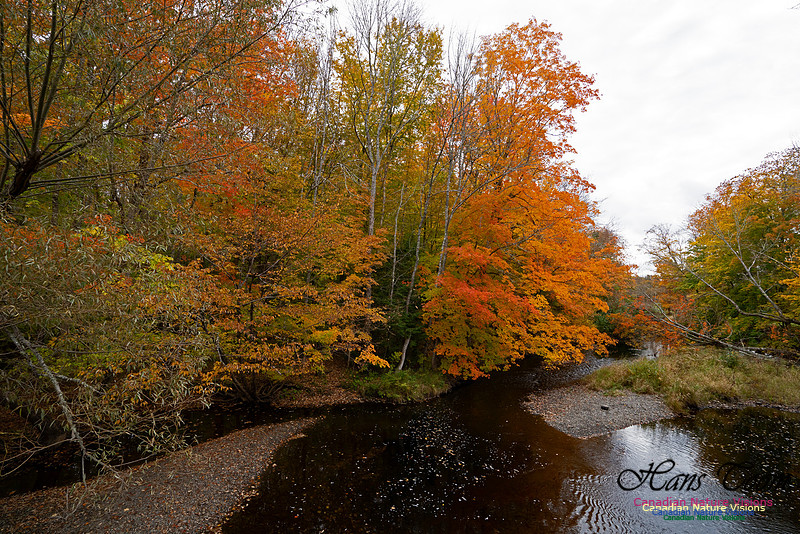 Fall Colours and Reflections 125