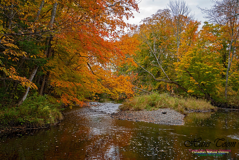 Fall Colours and Reflections 129