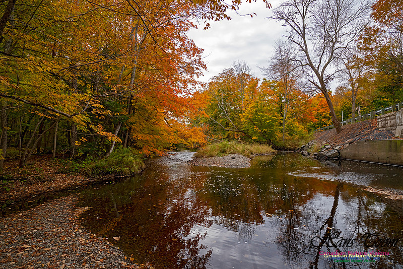 Fall Colours and Reflections 130